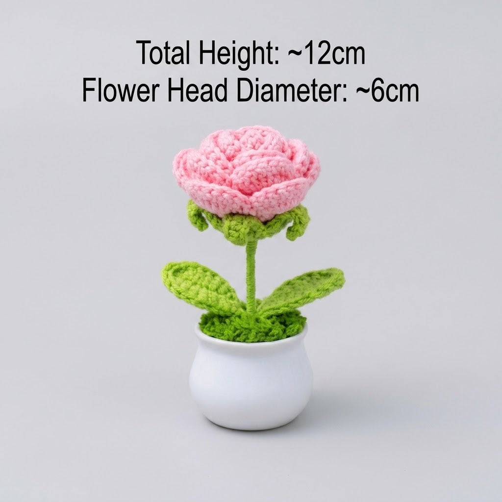 Baby Pink Rose Potted Plant