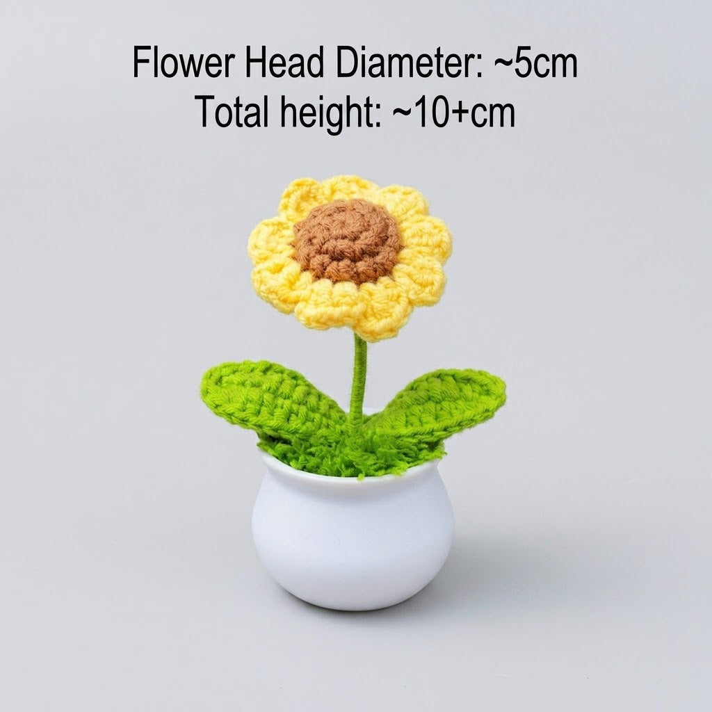 Yellow Daisy Potted Plant