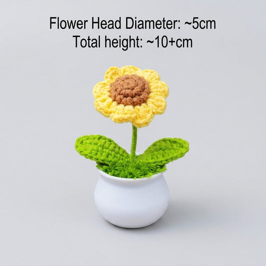 Yellow Daisy Potted Plant