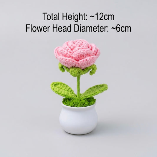 Baby Pink Rose Potted Plant