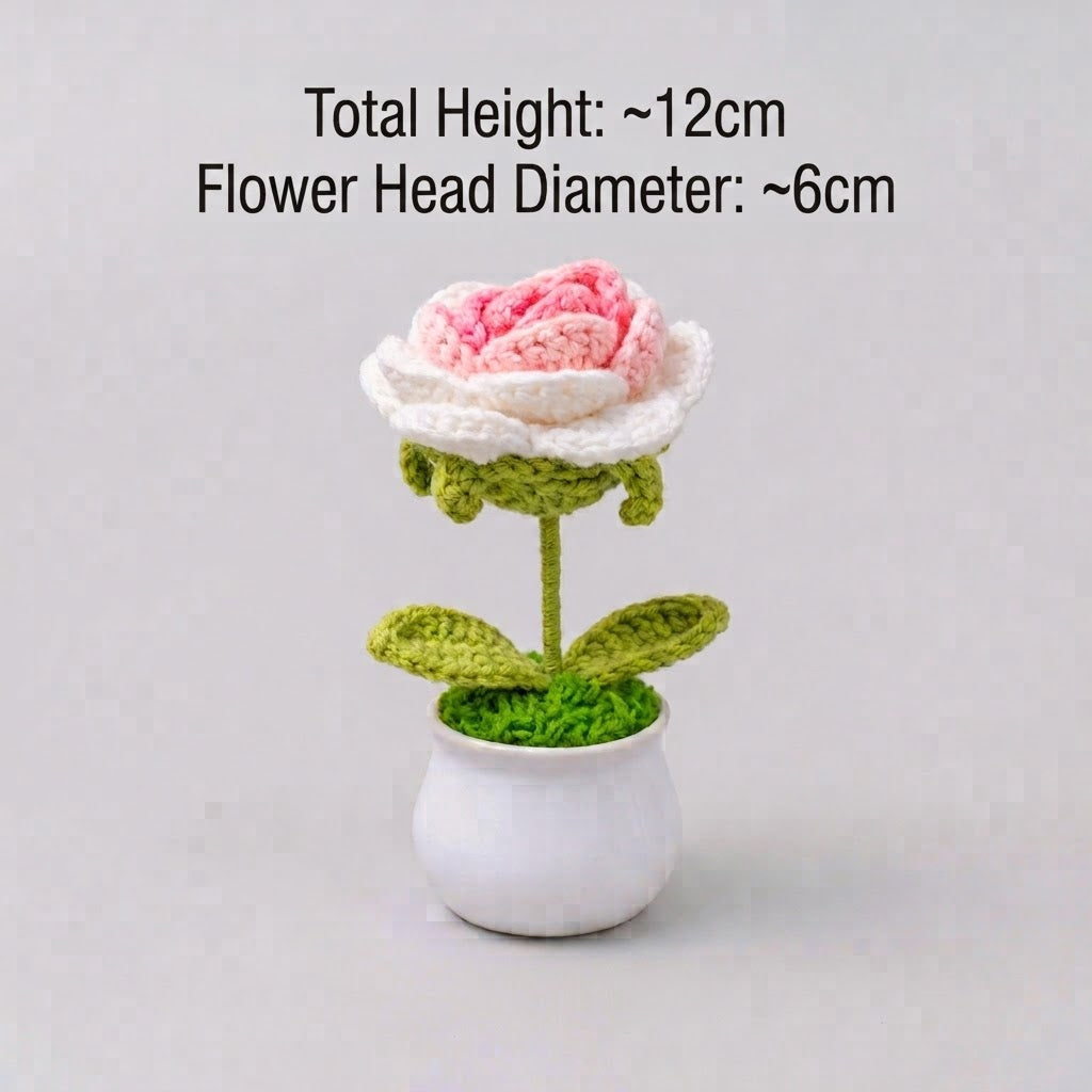 Pink Gradient Rose Potted Plant