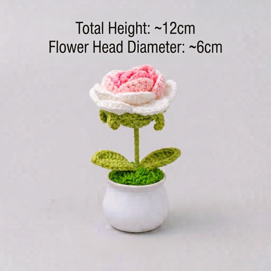 Pink Gradient Rose Potted Plant