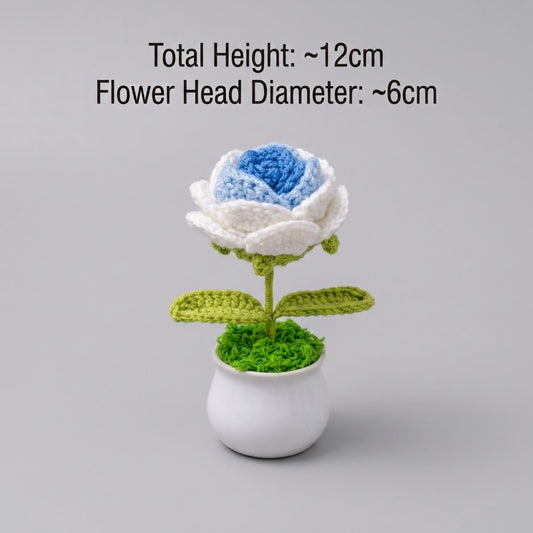 Blue Gradient Rose Potted Plant