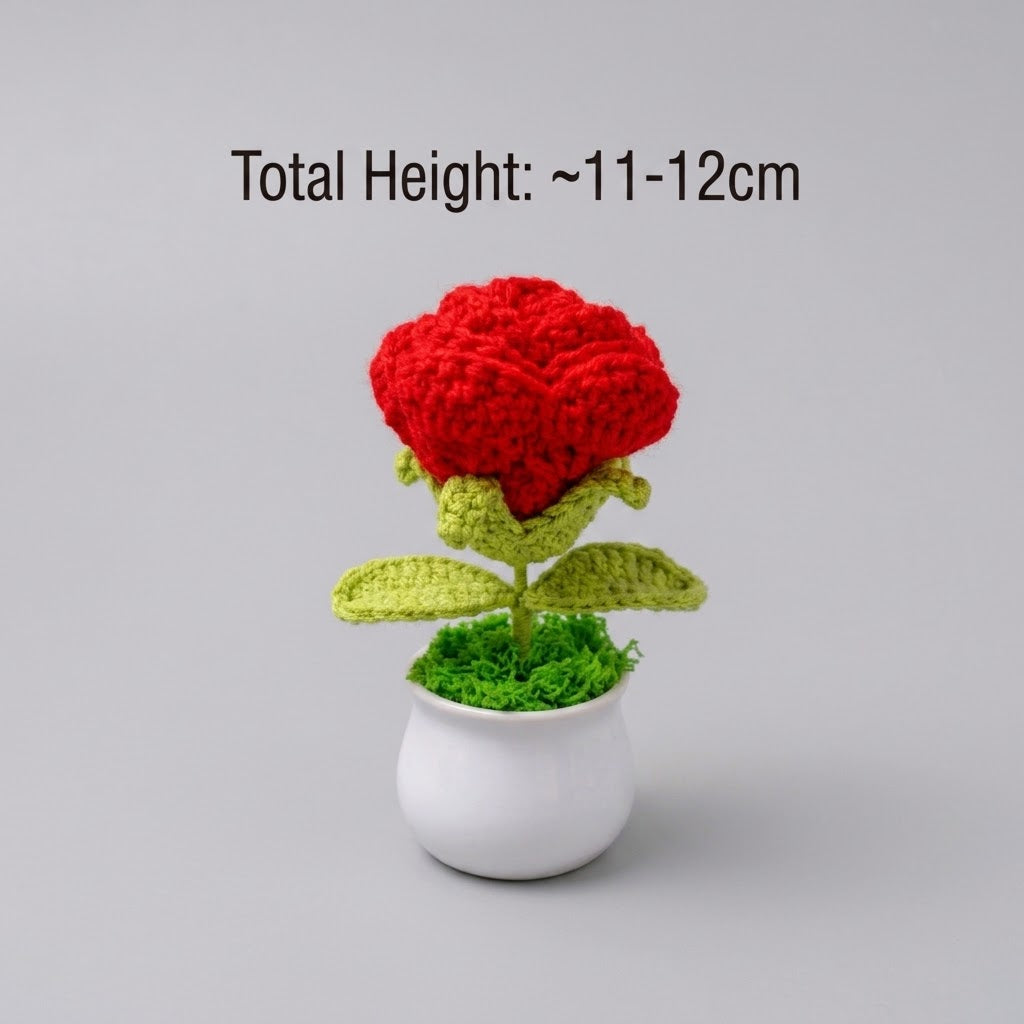 Red Rose Potted Plant