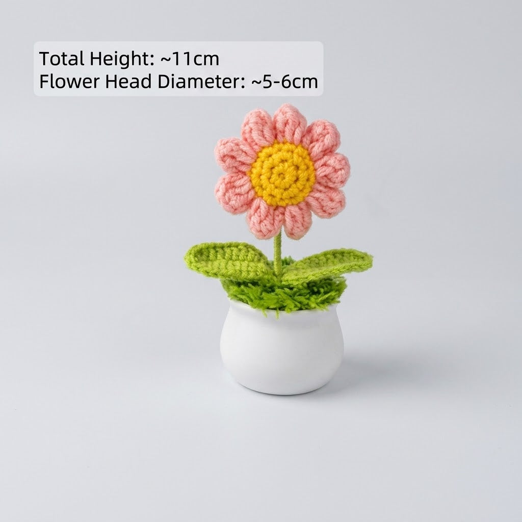 Pink Daisy Potted Plant